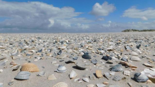 Rust Aan De Kust Villa Middelkerke Eksteriør billede